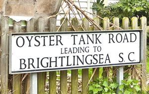 Oyster Tank Road- click for photo gallery
